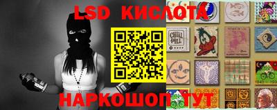 ПСИЛОЦИБИНОВЫЕ ГРИБЫ Кандалакша