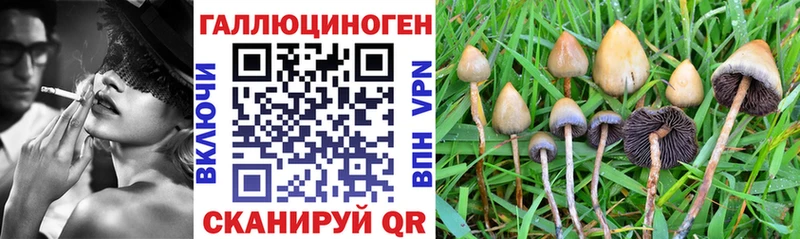 где найти наркотики  Улан-Удэ  Галлюциногенные грибы ЛСД 