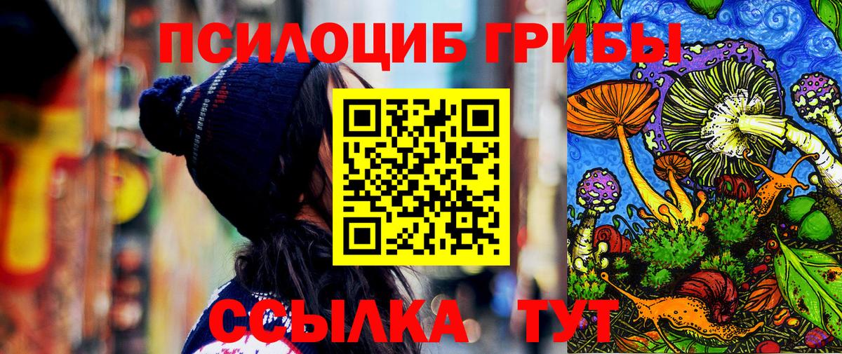 Псилоцибиновые грибы мухоморы  сколько стоит  Улан-Удэ  Вход с VPN 