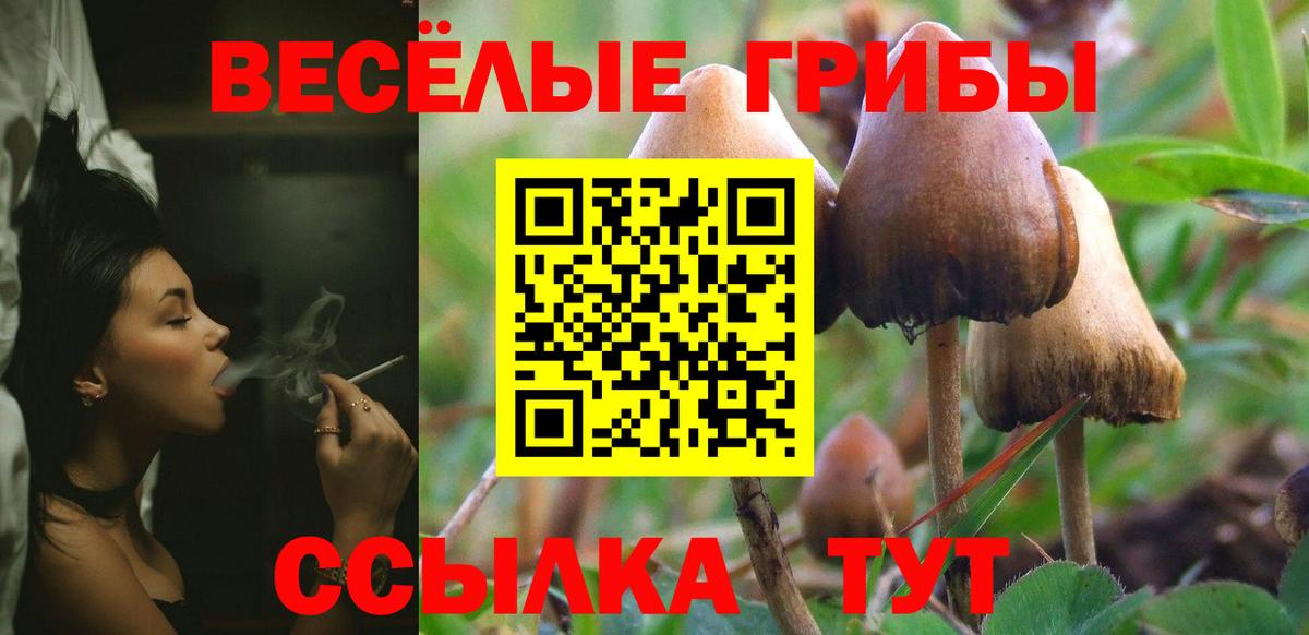 Галлюциногенные грибы MAGIC MUSHROOMS Улан-Удэ