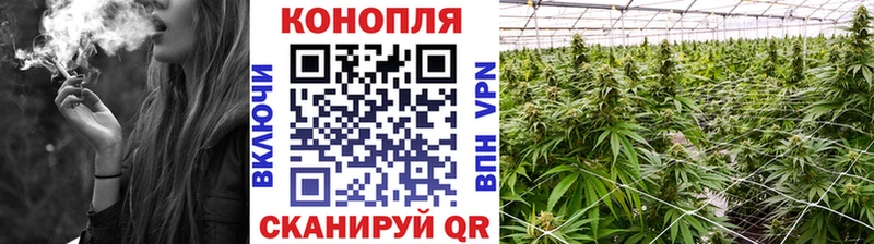 купить наркоту  ссылка на мегу вход  Конопля гибрид  Улан-Удэ 